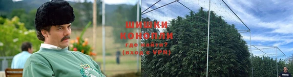 прущие крисы Белокуриха