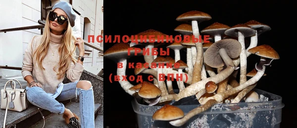 прущие крисы Белокуриха