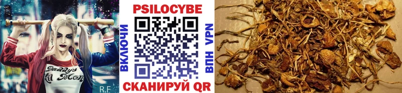 наркота  Михайлов  Галлюциногенные грибы GOLDEN TEACHER 